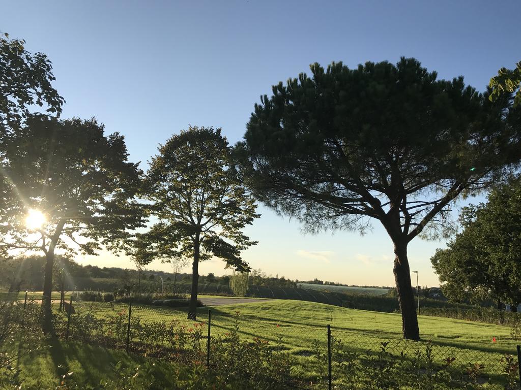 Agriturismo La Rinaldina Faenza Exteriör bild