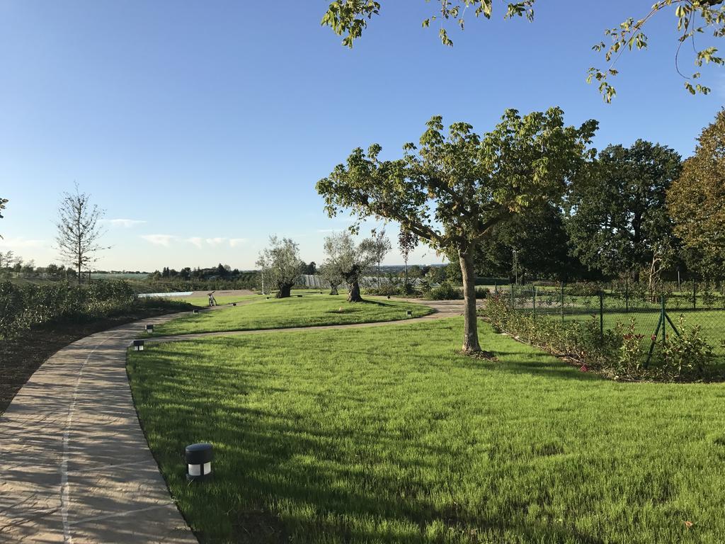 Agriturismo La Rinaldina Faenza Exteriör bild