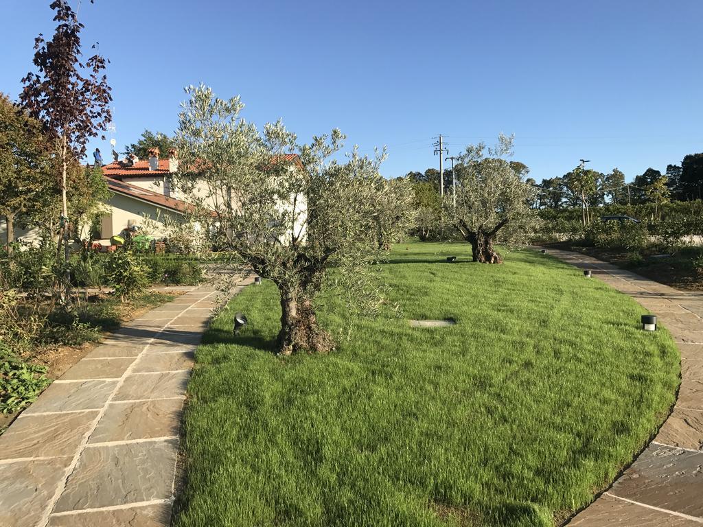 Agriturismo La Rinaldina Faenza Exteriör bild
